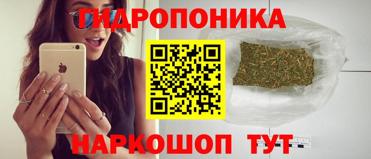 Каннабис конопля Соль-Илецк